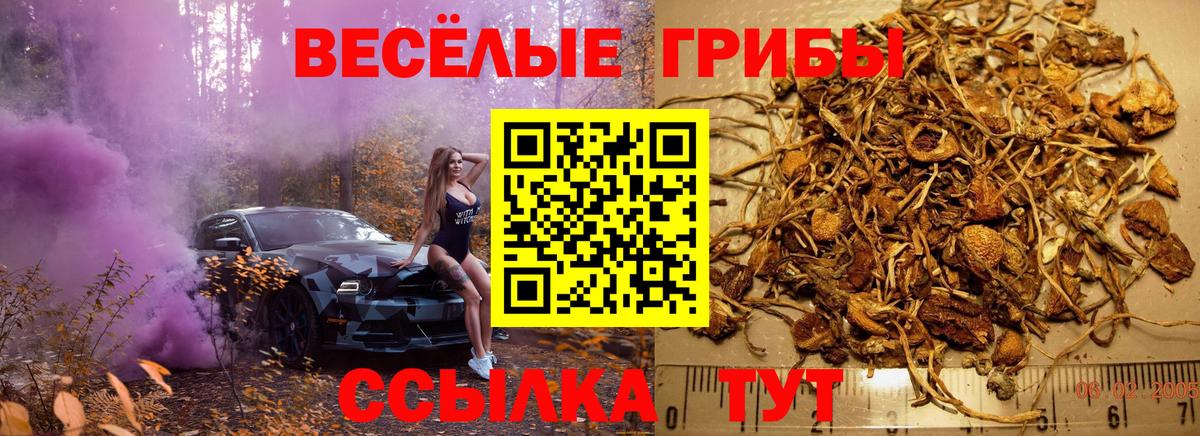 Галлюциногенные грибы MAGIC MUSHROOMS Таганрог