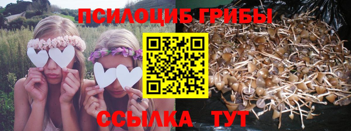 Галлюциногенные грибы мицелий  Вход с VPN  Таганрог  Галлюциногенные грибы мухоморы 
